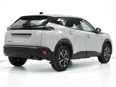 Usata Peugeot 2008