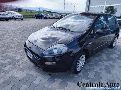 usata Fiat Punto 1.3 Mjt 75 CV DPF 5 porte S&S Dynamic Montecchio Maggiore