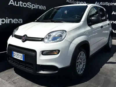 Usata Fiat Panda S 69 CV (50 kW) 2023 Bianco Utilitaria