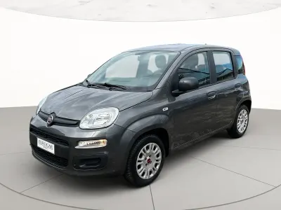 Usata Fiat Panda Lounge 69 CV (50 kW) 2019 Utilitaria