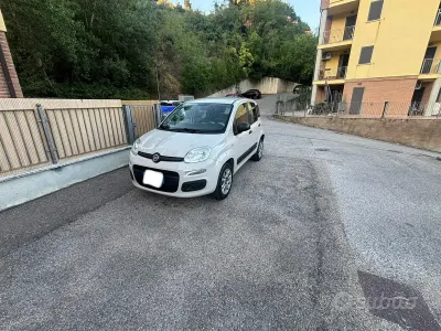 Usata Fiat Panda 85 CV (62 kW) 2016 Bianco Utilitaria