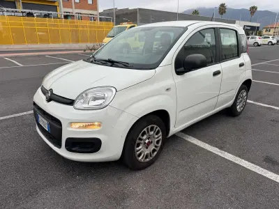 Käytetty Fiat Panda Pop 69 HP (50 kW) 2021 Valkoinen Viistoperä