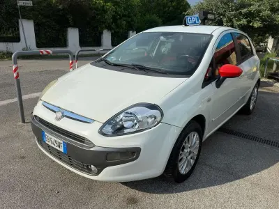 Usata Fiat Punto Evo