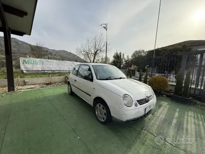 Usata VW Lupo