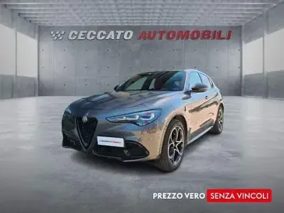 Usata Alfa Romeo Stelvio Veloce 209 CV (153 kW) 2024 Grigio SUV