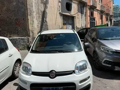 Usata Fiat Panda 70 CV (51 kW) 2022 Bianco Utilitaria