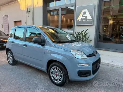 Usata Fiat Panda Lounge 69 CV (50 kW) 2020 Grigio Utilitaria