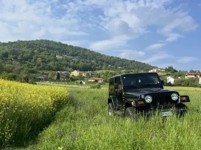 Usata Jeep Wrangler Sport 118 CV (86 kW) 1999 SUV
