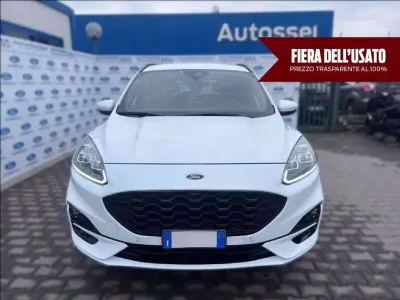 Usata Ford Kuga ST-Line X 225 CV (165 kW) 2020 Bianco SUV