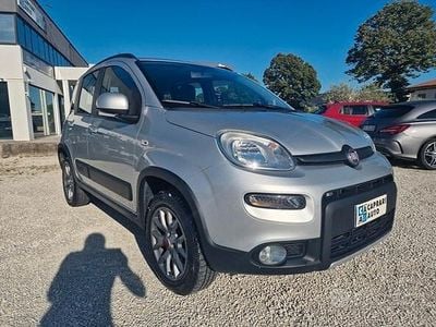Usata Fiat Panda 4x4 S 95 CV (69 kW) 2017 Argento Utilitaria