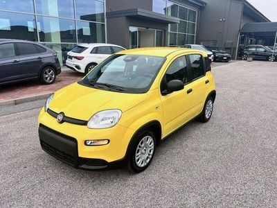 Usata Fiat Panda S 70 CV (51 kW) 2024 Giallo pastello Utilitaria