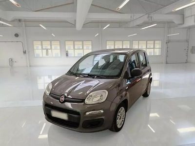 Usata Fiat Panda Easy 69 CV (50 kW) 2020 Grigio Utilitaria