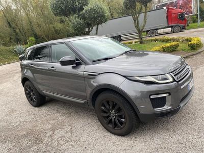 usata Land Rover Range Rover evoque Range Rover Evoque 2.0 eD4 5p. Business Edition Premium Pure