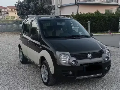 Usata Fiat Panda 4x4 Cross 2006 Verde Utilitaria