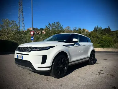 Usata Land Rover Range Rover evoque 150 CV (110 kW) 2020 Bianco SUV