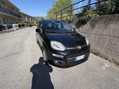 Usata Fiat Panda Easy 95 CV (69 kW) 2016 Utilitaria