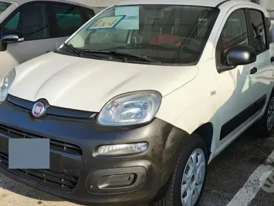 Usata Fiat Panda 4x4 85 CV (62 kW) 2020 Bianco Utilitaria