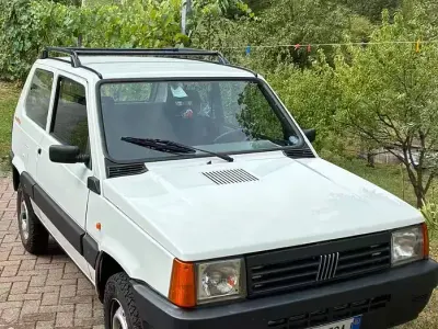 Usata Fiat Panda 4x4 54 CV (39 kW) 2002 Bianco Utilitaria