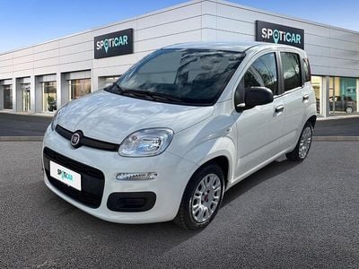 Usata Fiat Panda S 70 CV (51 kW) 2021 Bianco Utilitaria