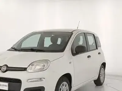 Usata Fiat Panda Easy 86 CV (63 kW) 2015 Grigio Utilitaria