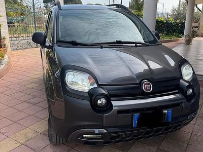 Usata Fiat Panda Cross Cross 95 CV (69 kW) 2018 Grigio Utilitaria
