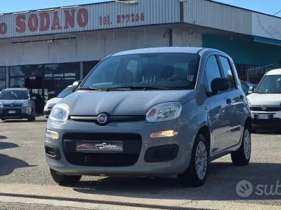 Usata Fiat Panda Easy 69 CV (50 kW) 2019 Grigio Utilitaria