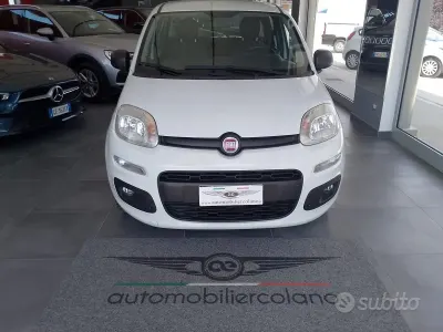 Usata Fiat Panda Easy 69 CV (50 kW) 2019 Bianco Utilitaria