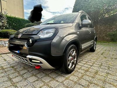 Usata Fiat Panda Cross Cross 69 CV (50 kW) 2019 Grigio Utilitaria