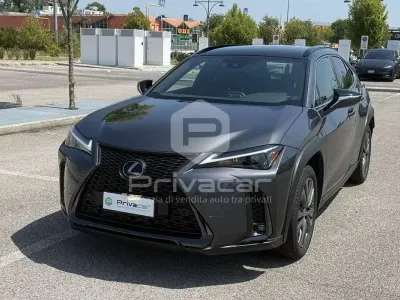 Usata Lexus UX 250h 152 CV (111 kW) 2023 Grigio SUV