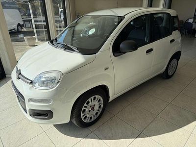 Usata Fiat Panda Easy 95 CV (69 kW) 2019 Bianco Utilitaria