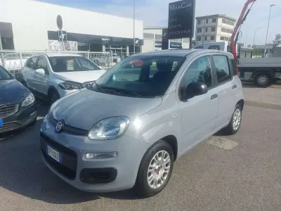 Usata Fiat Panda Easy 69 CV (50 kW) 2021 Grigio Utilitaria