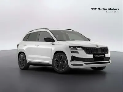Usata Skoda Karoq