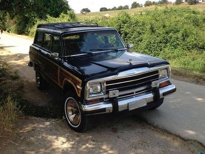 Usata Jeep Wagoneer 175 CV (128 kW) 1986 Blu/azzurro SUV