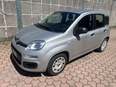 Usata Fiat Panda Easy 69 CV (50 kW) 2019 Argento Utilitaria
