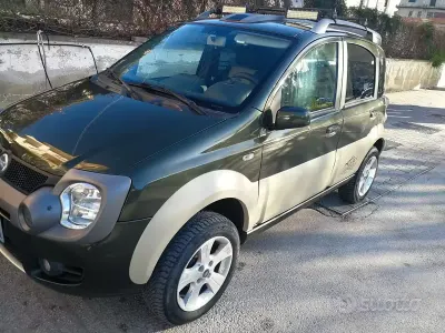 Usata Fiat Panda Cross 69 CV (50 kW) 2008 Verde Utilitaria