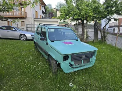 Usata Fiat Panda 4x4 Trekking 54 CV (39 kW) 2002 Utilitaria