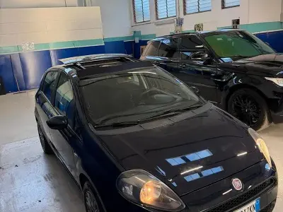 Usata Fiat Punto Lounge 69 CV (50 kW) 2014 Blu Utilitaria