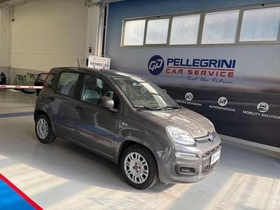 Usata Fiat Panda Launch Edition 69 CV (50 kW) 2021 Grigio Utilitaria