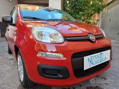 Usata Fiat Panda