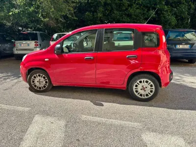 Usata Fiat Panda Easy 69 CV (50 kW) 2015 Rosso Utilitaria