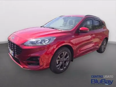 Usata Ford Kuga ST-Line 190 CV (139 kW) 2022 Rosso SUV