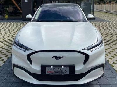 Usata Ford Mustang Mach-E Standard Range 100 kW (136 CV) 2022 Bianco SUV