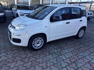 Usata Fiat Panda Pop 69 CV (50 kW) 2020 Other Utilitaria