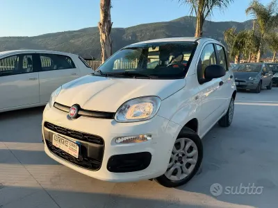 Usata Fiat Panda 80 CV (58 kW) 2015 Bianco Utilitaria