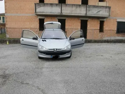 Usata Peugeot 206