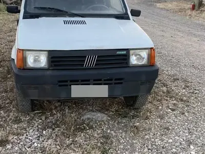 Usata Fiat Panda 4x4 45 CV (33 kW) 1994 Bianco Utilitaria