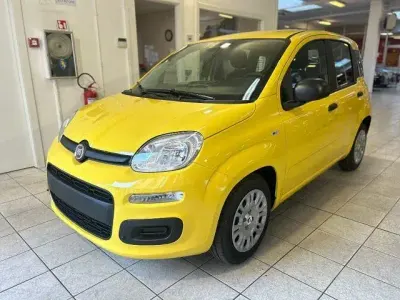 Nuova Fiat Panda Icon 69 CV (50 kW) 2026 Giallo Utilitaria