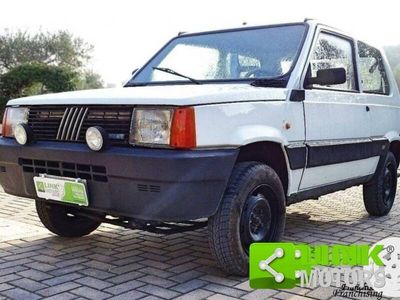 usata Fiat Panda 4x4 1000 Ascoli Piceno