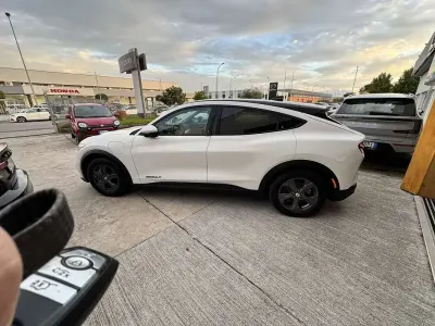 Usata Ford Mustang Extended Range 136 CV (100 kW) 2021