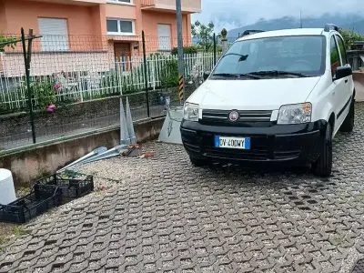 Usata Fiat Panda 60 CV (44 kW) 2009 Bianco Utilitaria